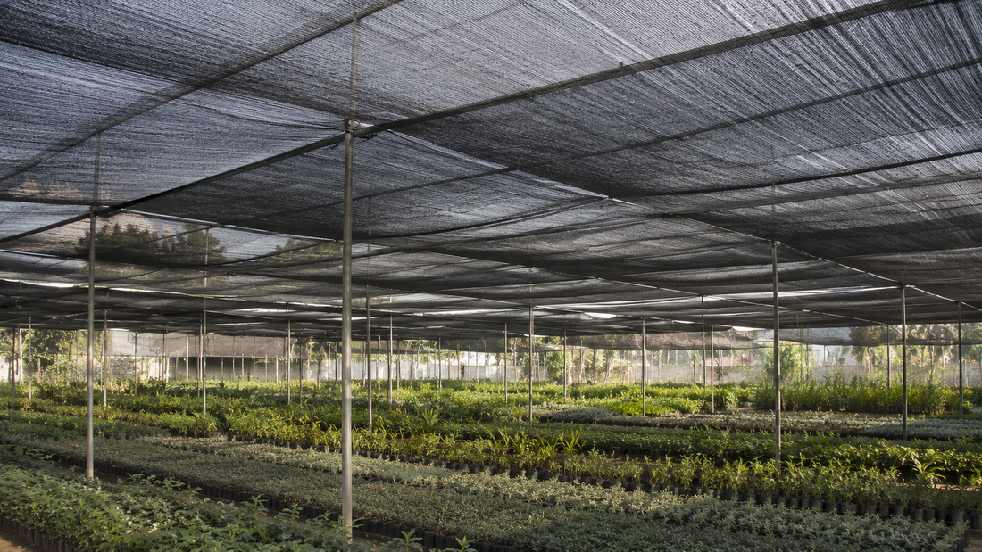 Why Weed Control Fabric Is Essential for Modern Agriculture